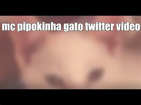 vdeo da mc pipokinha com os gatos|VÍDEO: MC Pipokinha se envolve em nova polêmica e é acusada。